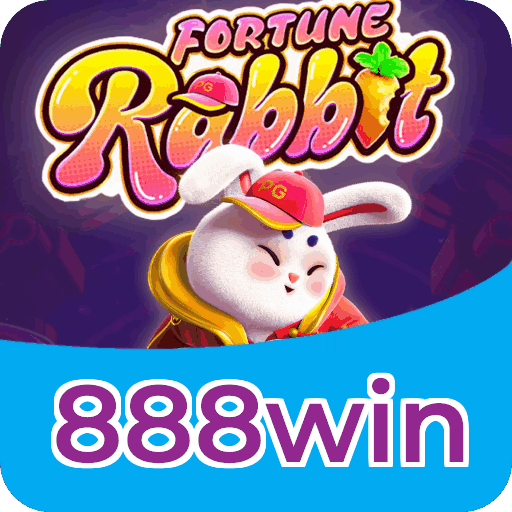888win apostas — dados e LGPD no site